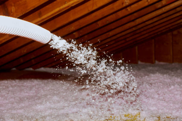 Best Eco-Friendly Insulation in Arnold, CA