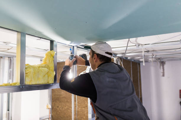 Types of Insulation We Offer in Arnold, CA
