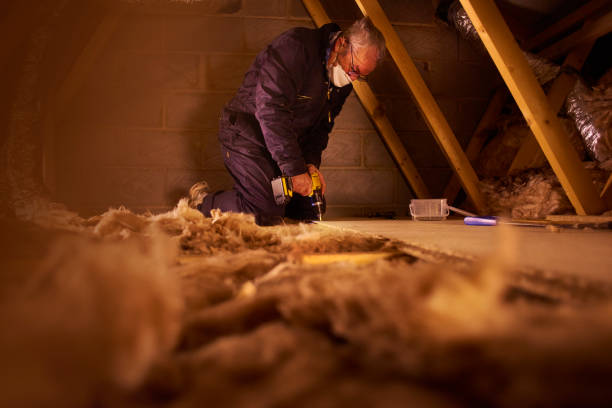 Best Specialized Insulation Services in Arnold, CA